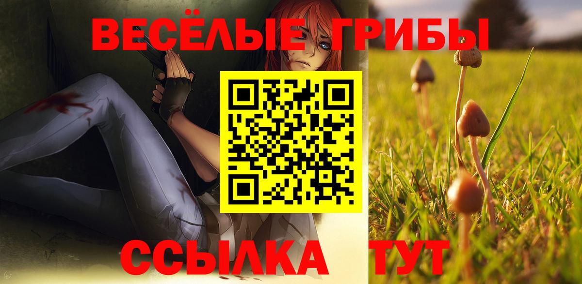 Псилоцибиновые грибы Cubensis  Псилоцибиновые грибы Cubensis  Вход с VPN  Чебаркуль 